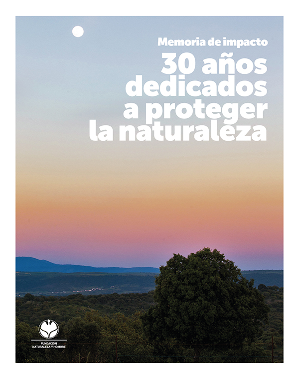 Memoria de impacto